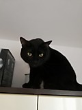 КИЛЛЕР