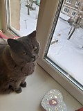 ПЛЮША